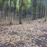 یک زوج برای سرایداری