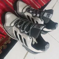 کتونی آدیداس. اصل. ویتنام