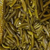 خیار شور|خوردنی و آشامیدنی|رشت, گلسار|دیوار