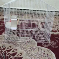 قفس پرنده