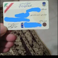 (گمشده) مدارک ماشین وطنیان