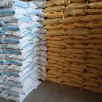 برنج عنبربو امسال کتوند|خوردنی و آشامیدنی|گتوند, |دیوار