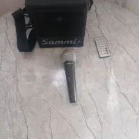 میکروفون و اکو. مدل اصلی