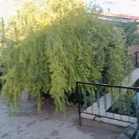 ویلا۹۰۰متری ابسرد