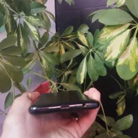 سامسونگ a03s|موبایل|تبریز, |دیوار