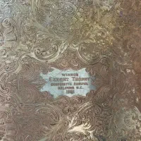 سینی اروپایی قدیمی|کلکسیون اشیاء عتیقه|زنجان, |دیوار