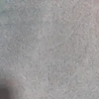 موکت سیاه
