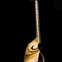 تارکارگاهی