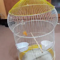 قفس خیلی شیک وزیبا مخصوص طوطی و عروس هلندی|لوازم جانبی حیوانات|کرمانشاه, |دیوار