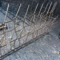 حفاظ شاخ گوزنی نمونه اصلی