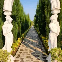 تور باغ ترنج ،کاخ شاه و آبگرم *اتوبوس وی آی پی*