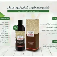 شامپو ضدشوره لدورا