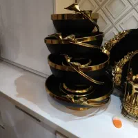 سرویس پذیرایی۳۶نفره