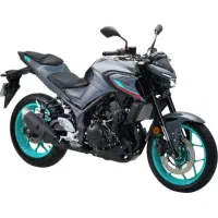 yamaha mt25