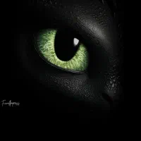 سنس فری فایر