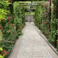 تنظیف خونه و سوییت