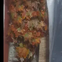 درختچه پاییزی با گلدون  بزرگ