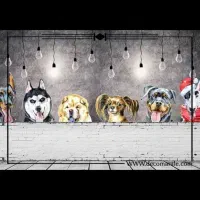 باسلام واگذاری سگ پذیرفته میشود