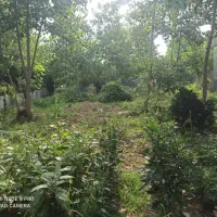 250-متر-زمین-مسکونی-با-پروانه-ساخت-وسند-تک-برگ