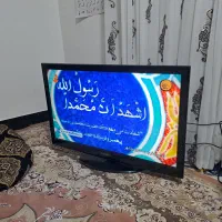 43 اینچ دوو دیجیتال سرخود|تلویزیون و پروژکتور|لردگان, |دیوار