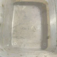 چها تا جا حلزونی