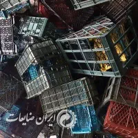 فروش سبد زنده