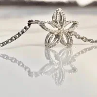 فروش یکجا نقره و زیورآلات نقره|جواهرات|ابهر, |دیوار