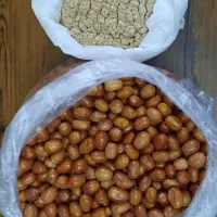 میوه خشک،سنجد،پودر سنجد،سبوس برنج|خوردنی و آشامیدنی|فردیس, طالقانی|دیوار