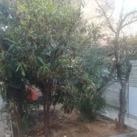 ملک-تجاری-واداری-بر