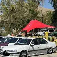 پژوپارس ۸۶|خودرو سواری و وانت|شهرکرد, |دیوار