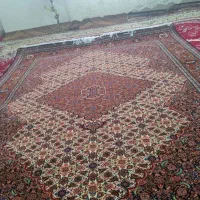فرش ماهی