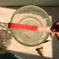 گلدان|گل و گیاه طبیعی|تهران, گیشا|دیوار