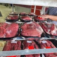 استخدام بازاریا