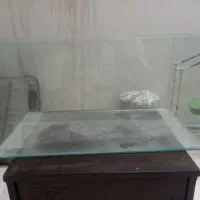 اکواریوم شیشه خم