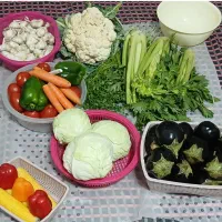 فروش وثبت سفارش انواع محصولات خونگی مادر