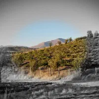 فروش|فروش خانه و ویلا|بانه, |دیوار