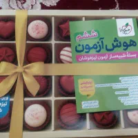 بسته هوش آزمون ششم