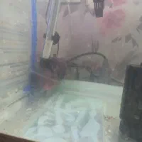 ماهی|ماهی|اصفهان, فرودگاه شهید بهشتی|دیوار