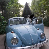 تشریفات مجالس ازدواج آسان صفرتا صد