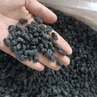 کشمش تاکستان آفتابی پلویی مویز ابگیری|خوردنی و آشامیدنی|خرمدشت, |دیوار