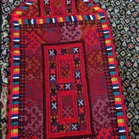 زیاستین دست دو