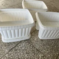 گلدان پلاستیکی نرده ای|گل و گیاه طبیعی|رشت, پل تالشان|دیوار