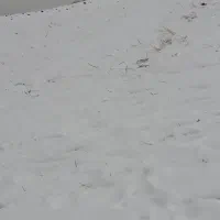 خط تلفن