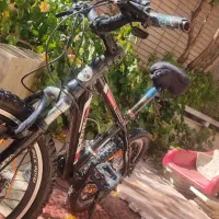 ۳ عدد دچرخه