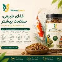 میلورم زنده و خشک غذای پرنده های زینتی عروس هلندی