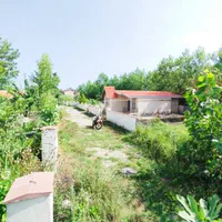 زمین باغی با نامه بنیاد مسکن 200 متری زیباکنار|فروش زمین و ملک کلنگی|خشکبیجار, |دیوار