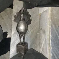 حیوان علامت فوری