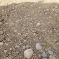 زمین مسکونی