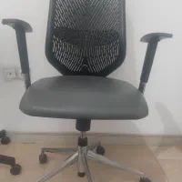 یک عدد صندلی اداری مدل E202 وینر مارک نظری