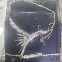 سرویس تراش  و میکرو
